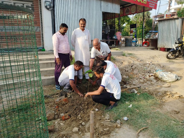 आज़मगढ़: प्रयास सामाजिक संगठन ने ट्री गार्ड लगा कर किया पौधारोपण