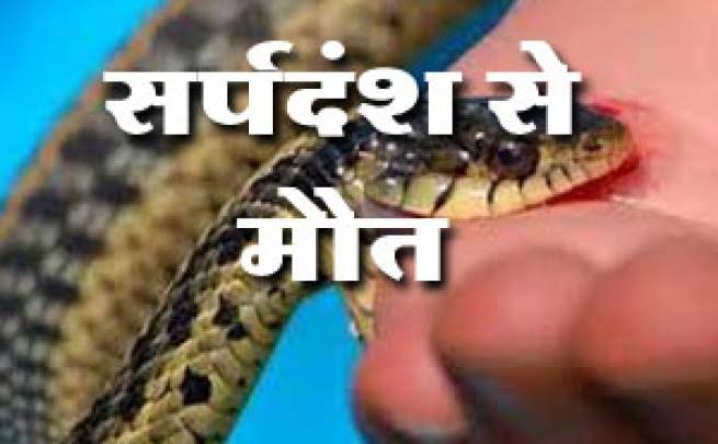 आज़मगढ़: शौच के लिए गए युवक की सर्पदंश से मौत